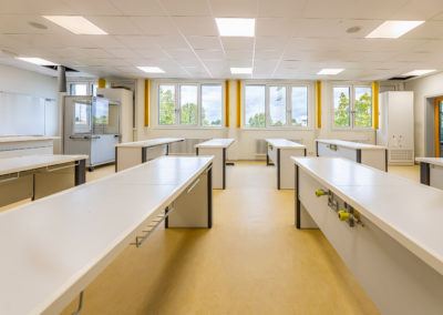Lab, Laboratory